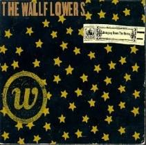The Wallflowers : Bringing Down the Horse